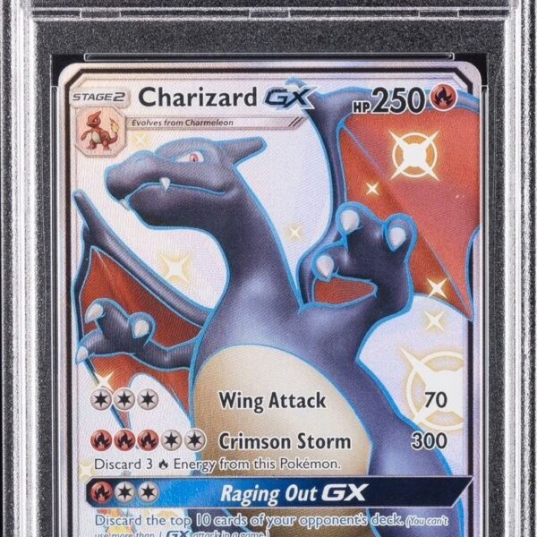 2019 pokemon sun & moon hidden fates #sv49 fa/charizard gx hidden fates