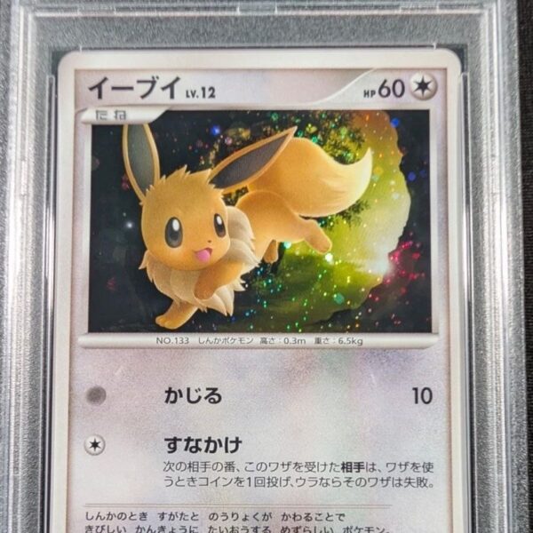 2009 pokemon japanese shaymin lv.x collection pack #011 eevee holo shaymin lv.x coll. pack